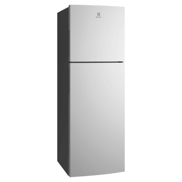 Electrolux 伊萊克斯 UltimateTaste 變頻上置式雙門雪櫃 ETB2802J-A